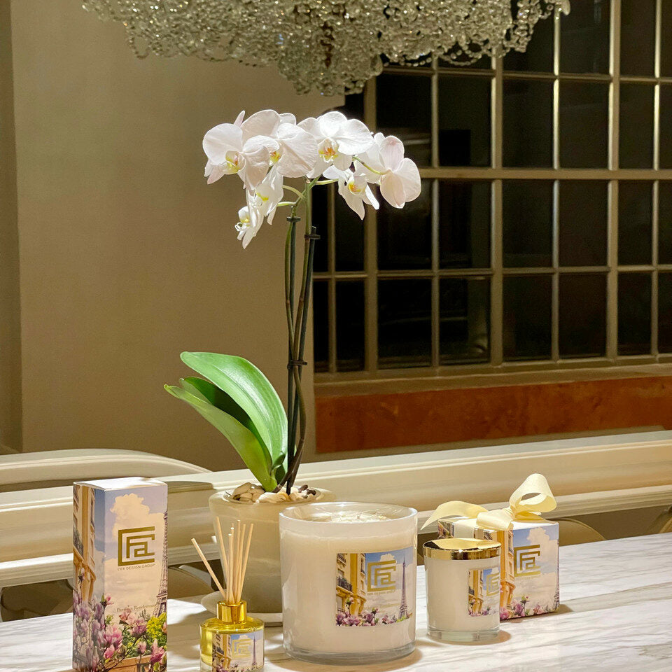 Diffuseur à bâtonnets Rendez-vous Parisien