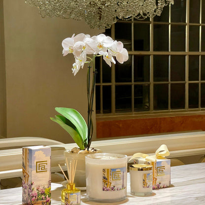 Diffuseur à bâtonnets Rendez-vous Parisien