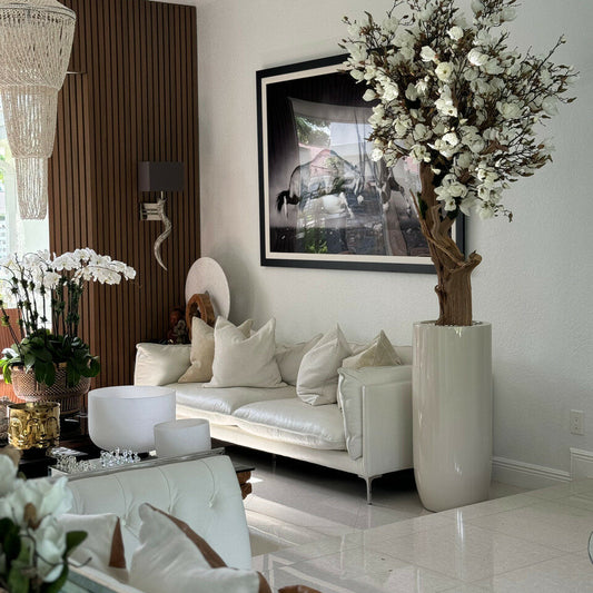 Magnolia blanc dans pot Saint-Tropez beige brillant