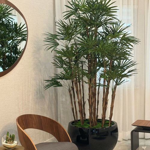 Vase Terragona noir avec palmier Lady