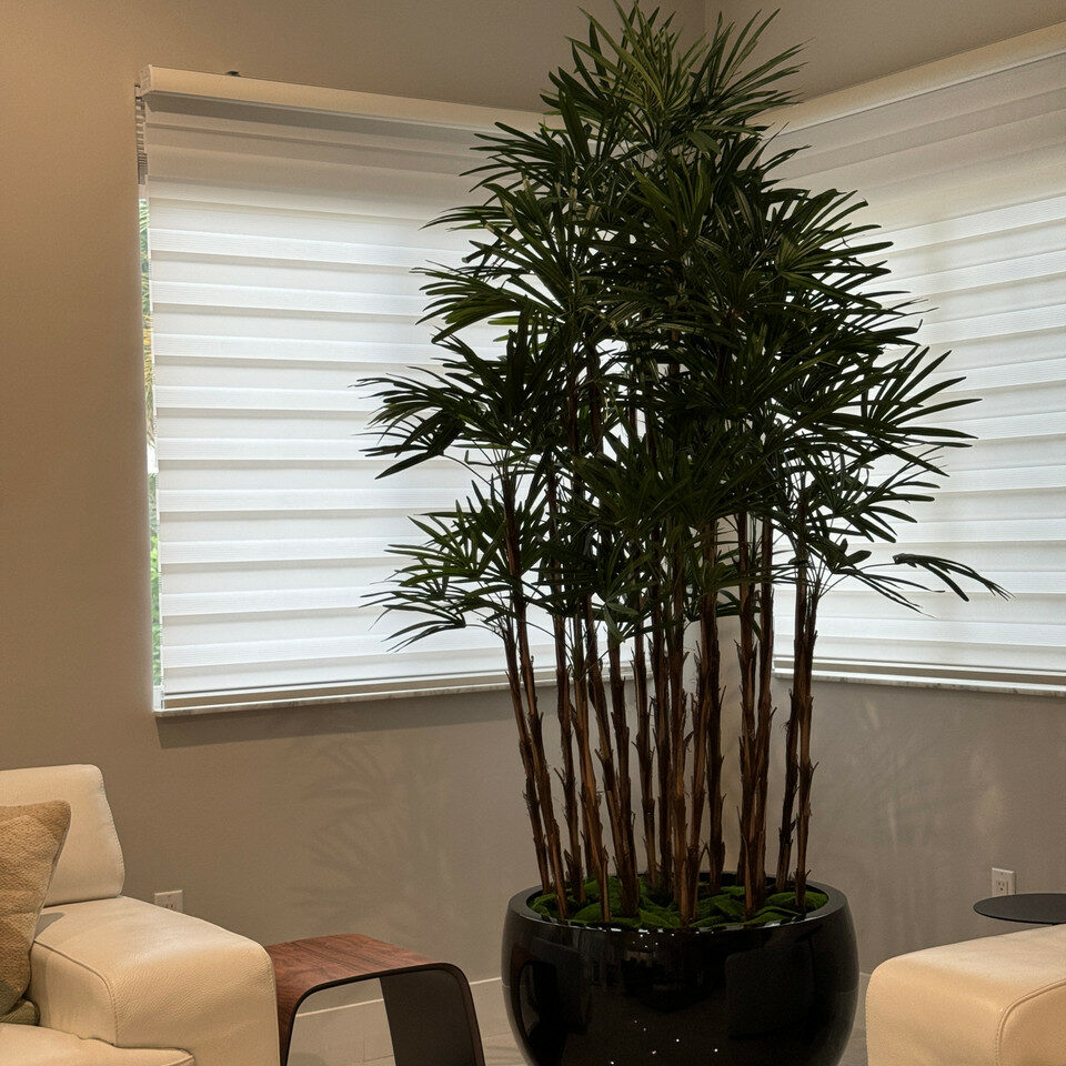 Vase Terragona noir avec palmier Lady