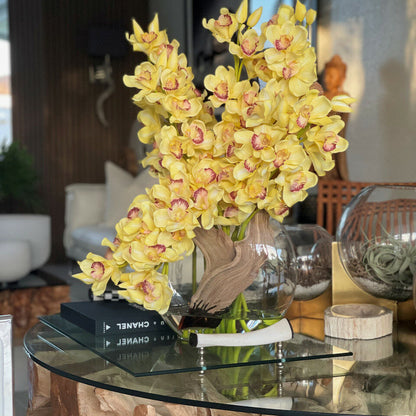Cymbidiums jaunes dans un vase Lune