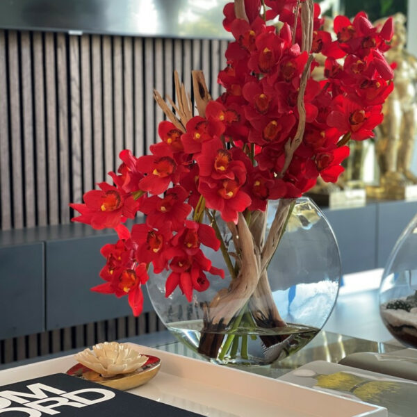 Cymbidiums rouges dans un pot Lune