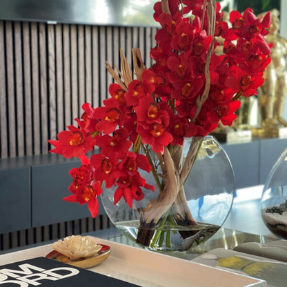 Cymbidiums rouges dans un pot Lune