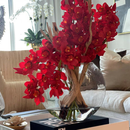 Cymbidiums rouges dans un pot Lune